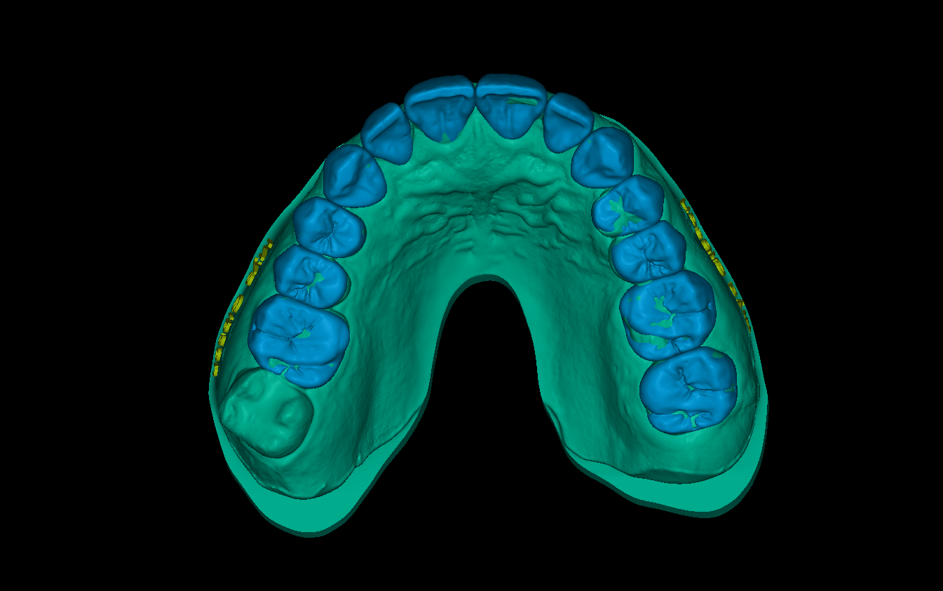 Image 4
