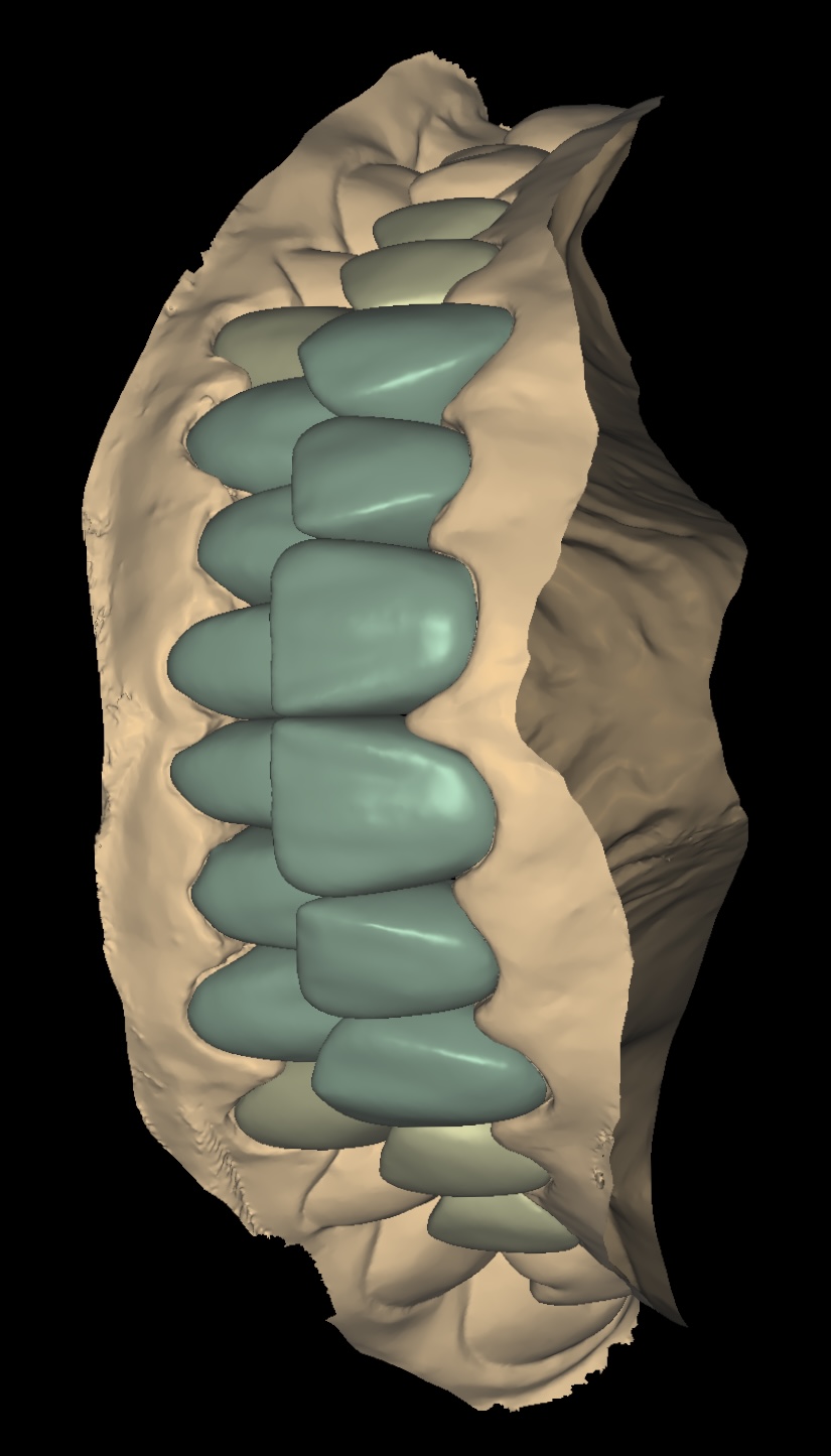 Image 5